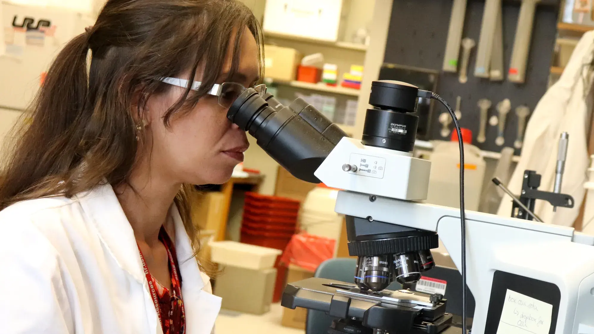 woman looking through a microscope in a laboratory setting