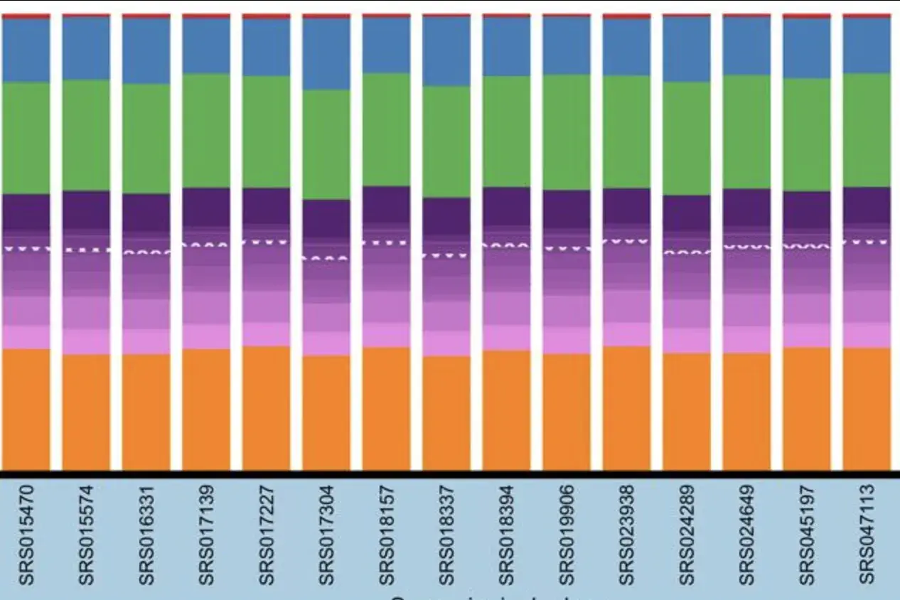 Bar Graph Example